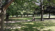 The Grove