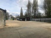 IMG_4383